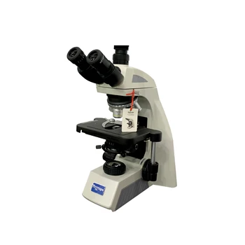 NE610 triocular mikroskopu Mokslinių tyrimų, eksperimentinės begalinis optinė sistema biologinis mikroskopas Vienas gabalas didmeninės