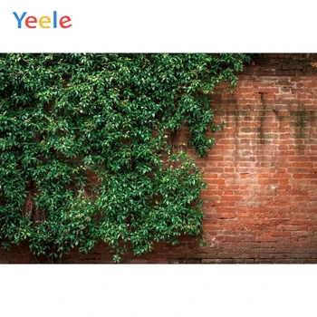 Yeele Grunge Raudonų Plytų Sienos, Senas Evergreen Photocall Fotografijos Backdrops Asmeninį Fotografijos Fone Fotostudija